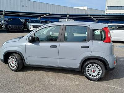 Fiat Panda 1.0 FireFly 70cv S&S Hybrid Grigio usata Veggiano