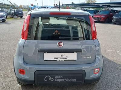 Fiat Panda 1.0 FireFly 70cv S&S Hybrid Grigio usata Veggiano
