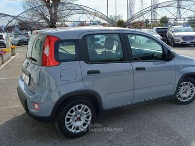 Fiat Panda 1.0 FireFly 70cv S&S Hybrid Grigio usata Veggiano