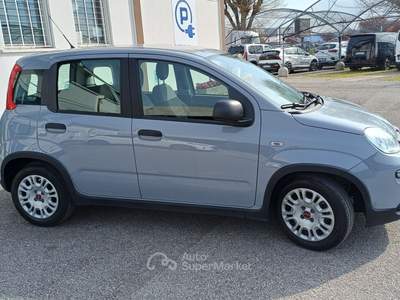 Fiat Panda 1.0 FireFly 70cv S&S Hybrid Grigio usata Veggiano