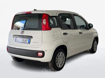 Fiat Panda III 2024 1.0 firefly hybrid s&s 70cv Bianco usata Roma