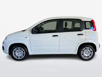 Fiat Panda III 2024 1.0 firefly hybrid s&s 70cv Bianco usata Roma