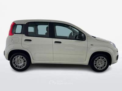 Fiat Panda III 2024 1.0 firefly hybrid s&s 70cv Bianco usata Roma
