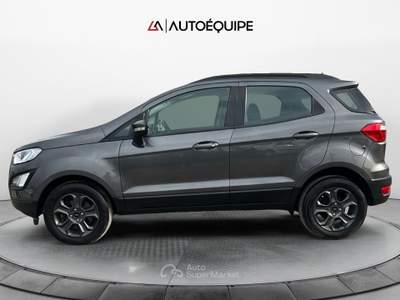 Ford EcoSport 2018 1.5 ecoblue Plus awd s&s 125cv my19 Grigio usata Roma