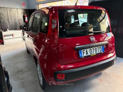 Fiat Panda Lounge Rosso usata Roma