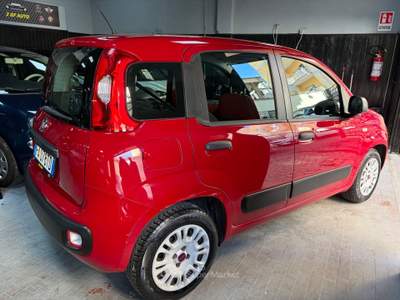Fiat Panda Lounge Rosso usata Roma