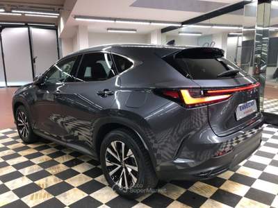 Lexus NX Plug-in 4WD Premium + Grigio usata Firenze