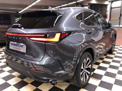 Lexus NX Plug-in 4WD Premium + Grigio usata Firenze