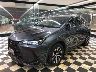 Lexus NX Plug-in 4WD Premium + Grigio usata Firenze
