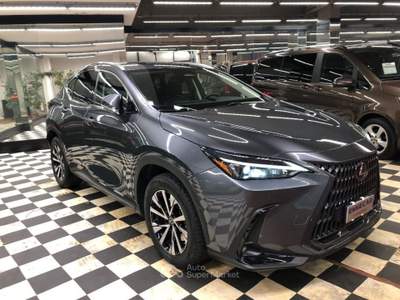 Lexus NX Plug-in 4WD Premium + Grigio usata Firenze