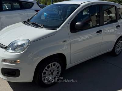 Fiat Panda Easy Bianco usata Mondovì