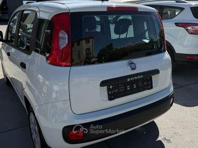 Fiat Panda Easy Bianco usata Mondovì