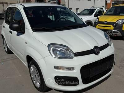 Fiat Panda Easy Bianco usata Mondovì
