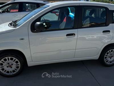 Fiat Panda Easy Bianco usata Mondovì
