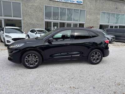 Ford Kuga Ford Kuga 1.5 Ecoboost St-line 150 CV Grigio usata Castagneto Carducci