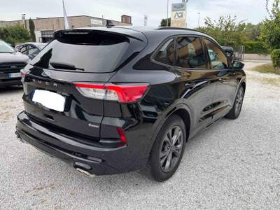 Ford Kuga Ford Kuga 1.5 Ecoboost St-line 150 CV Grigio usata Castagneto Carducci