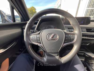 Lexus UX 250 h luxury Grigio usata Anzio