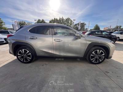 Lexus UX 250 h luxury Grigio usata Anzio