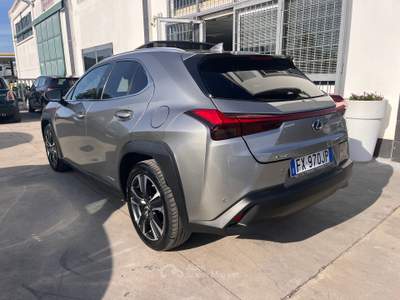 Lexus UX 250 h luxury Grigio usata Anzio