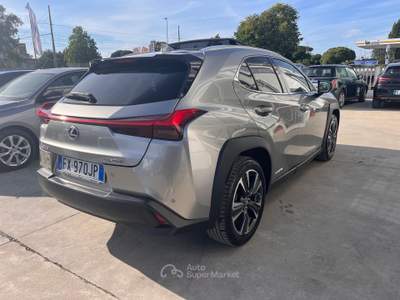 Lexus UX 250 h luxury Grigio usata Anzio