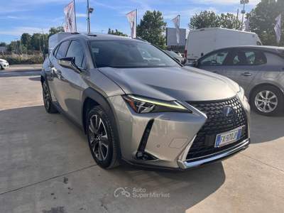 Lexus UX 250 h luxury Grigio usata Anzio