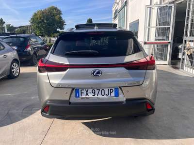 Lexus UX 250 h luxury Grigio usata Anzio