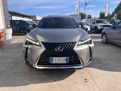 Lexus UX 250 h luxury Grigio usata Anzio