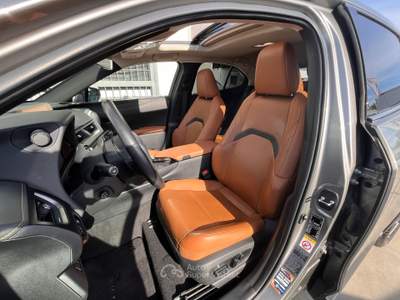 Lexus UX 250 h luxury Grigio usata Anzio