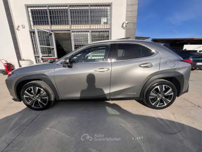 Lexus UX 250 h luxury Grigio usata Anzio