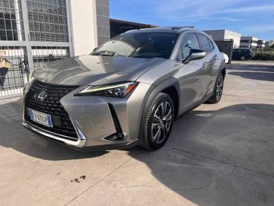 Lexus UX 250 h luxury Grigio usata Anzio