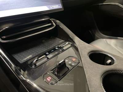 Lotus Eletre   Grigio usata Rivoli