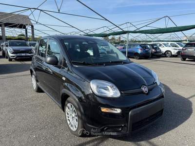 Fiat Panda Pandina iii 2024 - pandina 1.0 firefly hybrid s&s 70cv Nero usata Biella