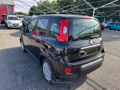 Fiat Panda Pandina iii 2024 - pandina 1.0 firefly hybrid s&s 70cv Nero usata Biella