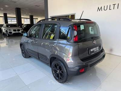 Fiat Panda 1.0 FireFly S&S Hybrid Grigio usata Ripalimosani