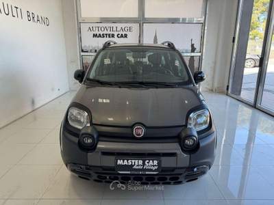 Fiat Panda 1.0 FireFly S&S Hybrid Grigio usata Ripalimosani