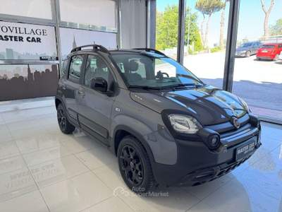 Fiat Panda 1.0 FireFly S&S Hybrid Grigio usata Ripalimosani