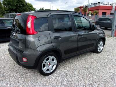 Fiat Panda FireFly S&S Hybrid City Life usata Montecatini-Terme