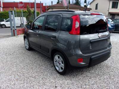 Fiat Panda FireFly S&S Hybrid City Life usata Montecatini-Terme