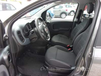 Fiat Panda FireFly S&S Hybrid City Life usata Montecatini-Terme