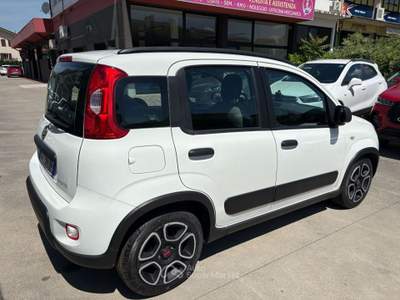 Fiat Panda 1.0 firefly hybrid City Life s&amp;s 70cv 5p.ti Bianco usata Cento