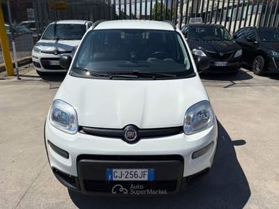 Fiat Panda 1.0 firefly hybrid City Life s&amp;s 70cv 5p.ti Bianco usata Cento