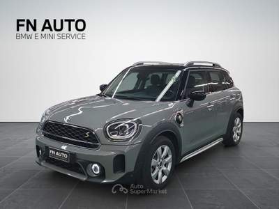 MINI Cooper S Countryman 1.5 SE Business ALL4 Automatica Grigio usata Torino