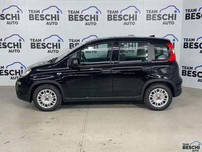 Fiat Panda 1.0 FireFly S&S Hybrid City Life Nero usata Lonato del Garda