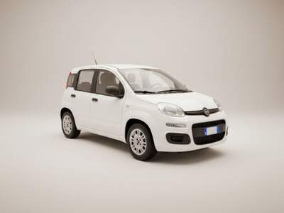 Fiat Panda Panda 1.3 MJT S&S Easy Bianco usata Laterina