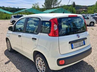 Fiat Panda Panda 1.3 MJT S&S Easy Bianco usata Laterina