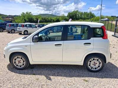 Fiat Panda Panda 1.3 MJT S&S Easy Bianco usata Laterina