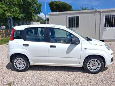 Fiat Panda Panda 1.3 MJT S&S Easy Bianco usata Laterina