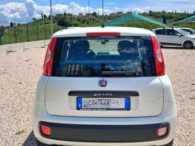 Fiat Panda Panda 1.3 MJT S&S Easy Bianco usata Laterina