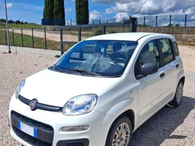 Fiat Panda Panda 1.3 MJT S&S Easy Bianco usata Laterina