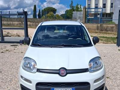 Fiat Panda Panda 1.3 MJT S&S Easy Bianco usata Laterina